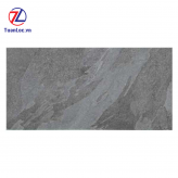 Gạch ốp lát Viglacera Platinum PT 20-G45022
